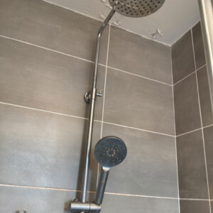 Ensuite refurb shower head before